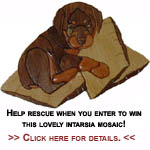 Enter to Win a Lovely Intarsia Mosaic and Help Rottweiler Rescue